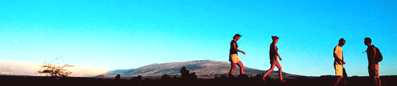 Holays Tourism